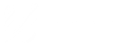 UpScale Automation